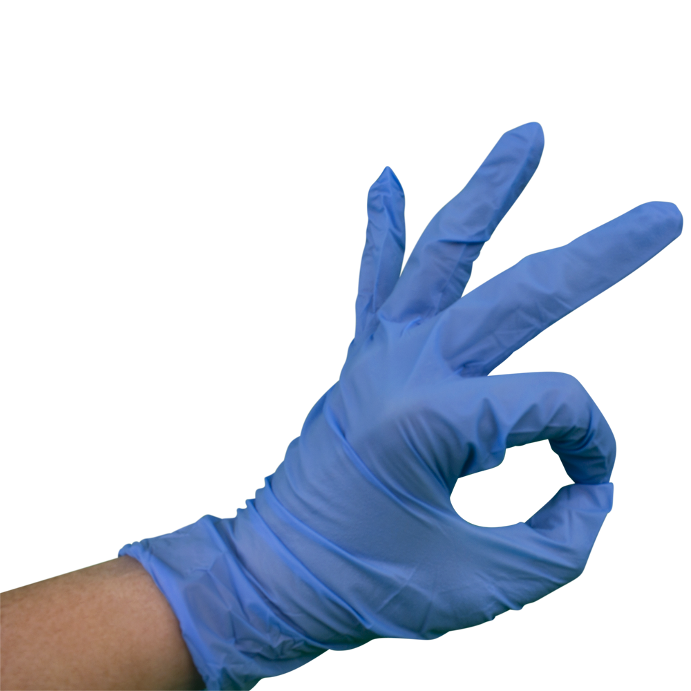 Blue Vinyl Gloves - Powder Free & Disposable