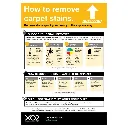 Product Image - TD102136 -  How To Remove Carpet Stains XO2® Carpet Care How To Chart (1).webp