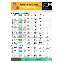 XO2 Selection Guide - Carpet Pre-Sprays - Website Product Page Image.webp