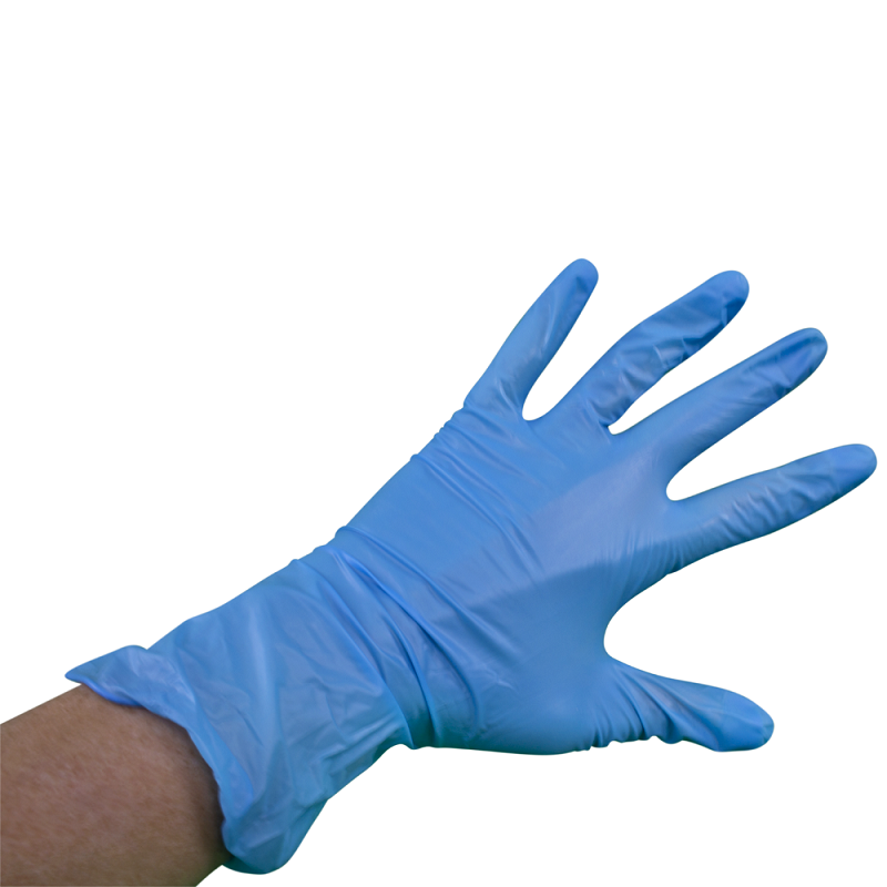 Blue Vinyl Gloves - Powder Free & Disposable