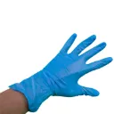 Blue Vinyl Gloves - Powder Free & Disposable