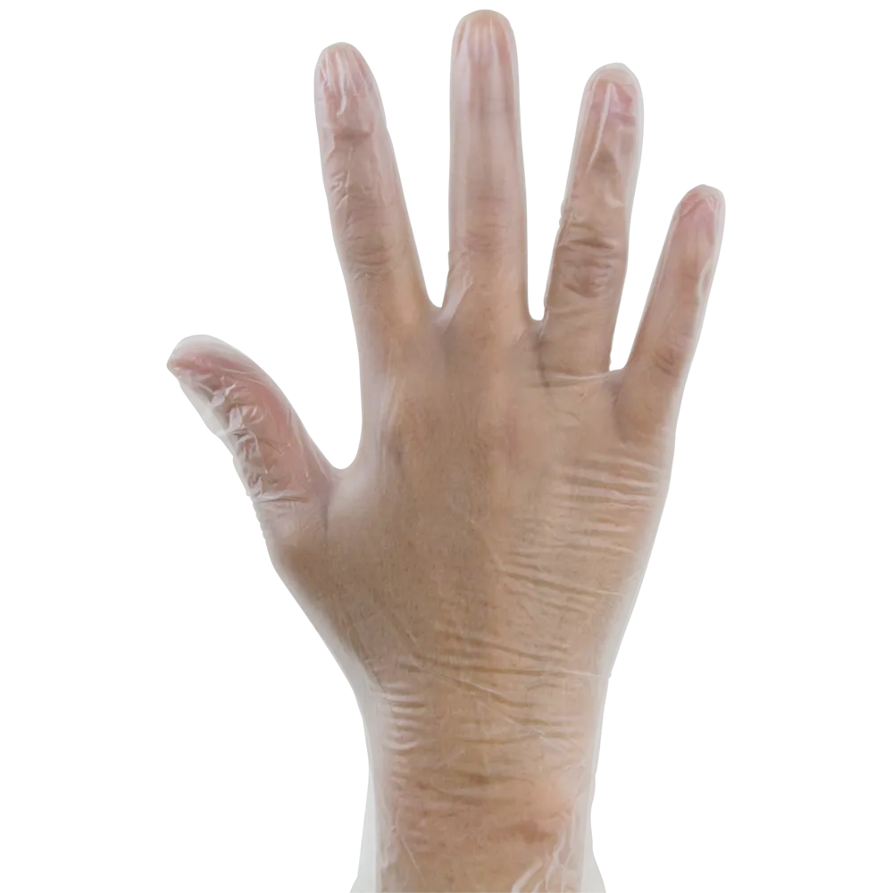 Clear Vinyl Gloves - Powdered & Disposable