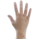 Clear Vinyl Gloves - Powdered & Disposable