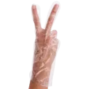 Clear Polyethylene Disposable Gloves