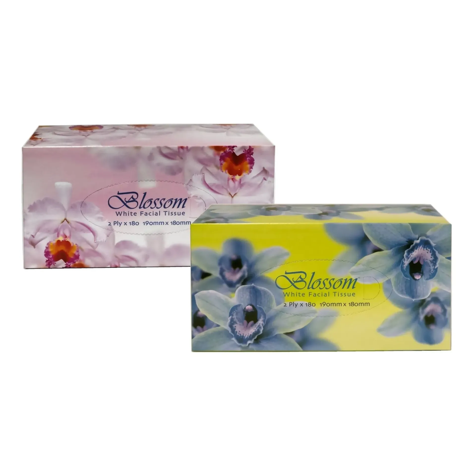 [A-170138/32] Blossom 2ply 180 Sheet Facial Tissues