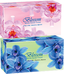 [A-170138/32] Blossom 2ply 180 Sheet Facial Tissues